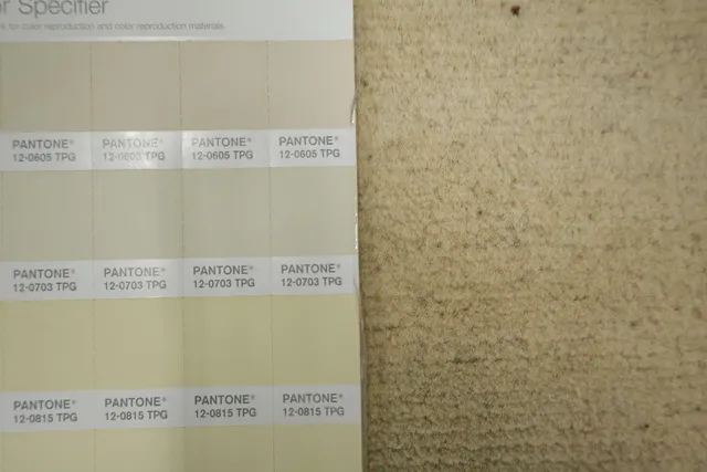 https://image-static-obj.rugsource.com/small/134860_3272057_d6d4cb76.jpeg