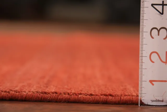 https://image-static-obj.rugsource.com/small/134866_2655788_7aeeabd8.jpeg