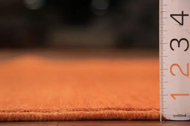 https://image-static-obj.rugsource.com/small/134869_2655805_2b547feb.jpeg