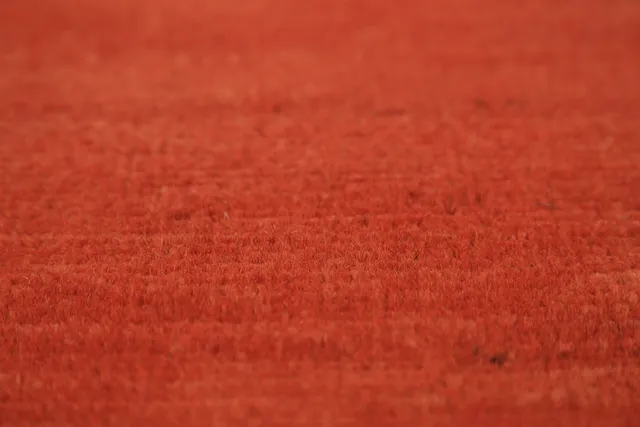 https://image-static-obj.rugsource.com/small/134876_2656232_b043a613.jpeg