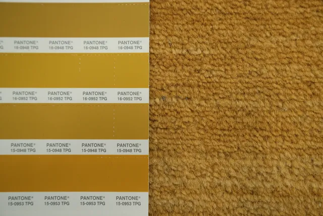 https://image-static-obj.rugsource.com/small/134939_3248156_ac36f289.jpeg