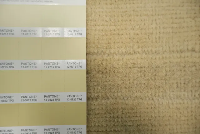 https://image-static-obj.rugsource.com/small/135030_3249798_f9fda3bc.jpeg
