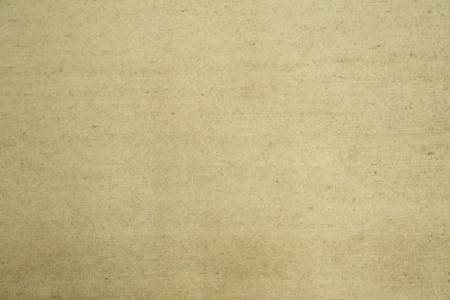 https://image-static-obj.rugsource.com/small/135119_3246702_c39cc7c0.jpeg