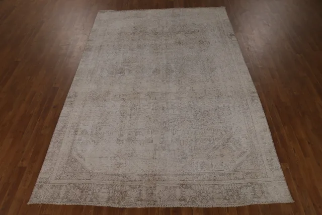 https://image-static-obj.rugsource.com/small/135214_2656385_844cc97e.jpeg