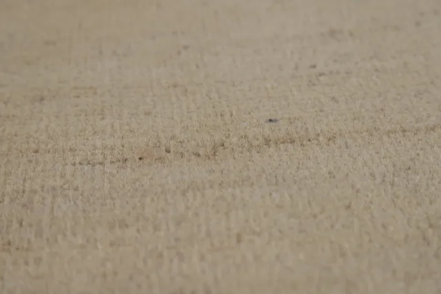 https://image-static-obj.rugsource.com/small/135388_2660010_572ed65f.jpeg