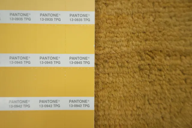 https://image-static-obj.rugsource.com/small/135404_3247855_6358eb70.jpeg