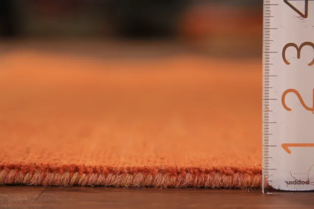 https://image-static-obj.rugsource.com/small/135469_2658687_d67a49ec.jpeg
