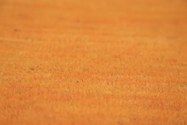 https://image-static-obj.rugsource.com/small/135495_2659044_79eb29af.jpeg