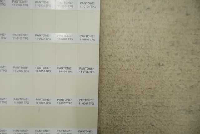 https://image-static-obj.rugsource.com/small/135504_3250125_818e8f73.jpeg