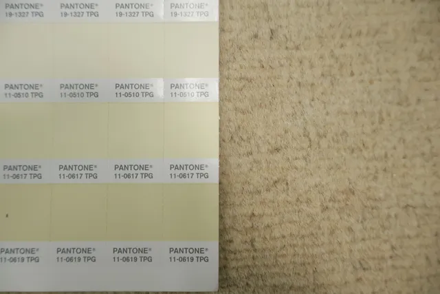 https://image-static-obj.rugsource.com/small/135518_3249126_e687f1c3.jpeg