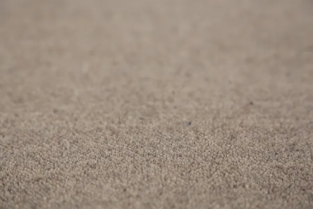 https://image-static-obj.rugsource.com/small/135806_2666686_e17abae3.jpeg