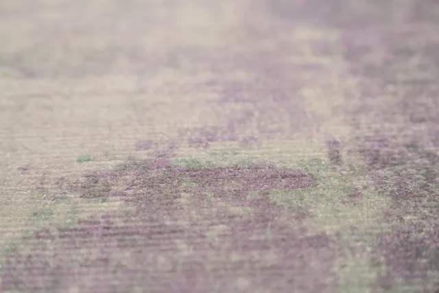 https://image-static-obj.rugsource.com/small/136591_2678371_08c05e30.jpeg