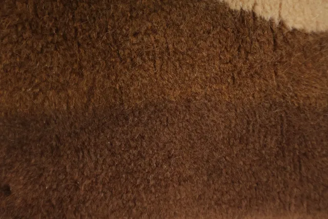 https://image-static-obj.rugsource.com/small/136970_3304510_27f5a9d9.jpeg