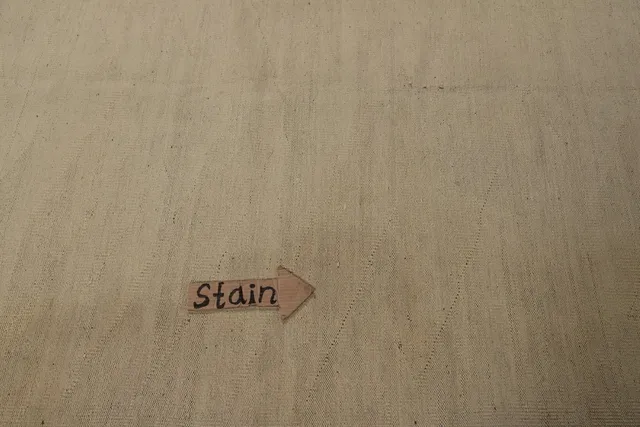 https://image-static-obj.rugsource.com/small/137120_2693216_d43d1906.jpeg