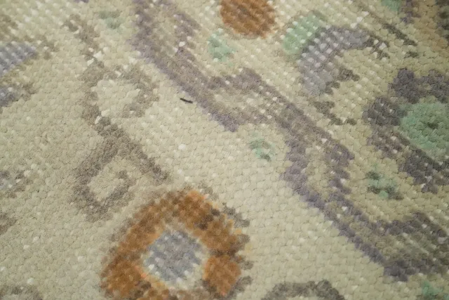 https://image-static-obj.rugsource.com/small/138559_2998781_51d20d3b.jpeg