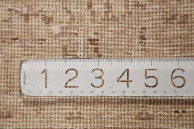https://image-static-obj.rugsource.com/small/138566_2725057_42e776f5.jpeg