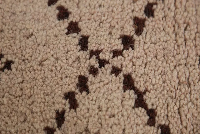 https://image-static-obj.rugsource.com/small/138660_2723909_55475e44.jpeg