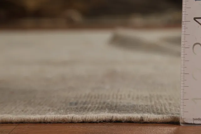 https://image-static-obj.rugsource.com/small/138900_2731549_8aba81be.jpeg