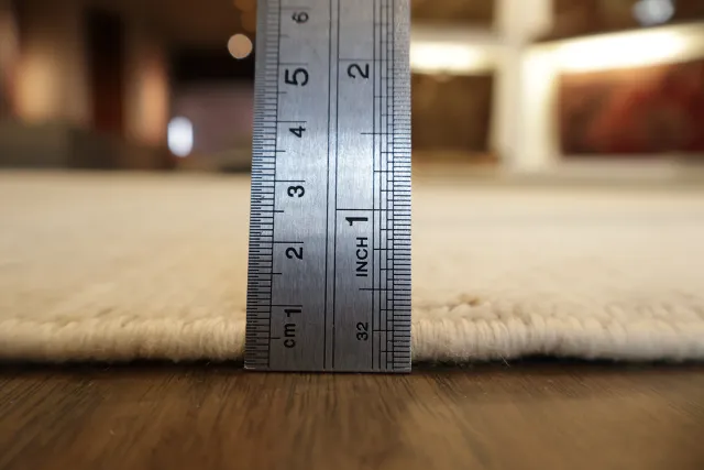 https://image-static-obj.rugsource.com/small/139020_3472020_96ef05e5.jpeg