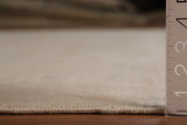 https://image-static-obj.rugsource.com/small/139024_2733087_fbedec9b.jpeg