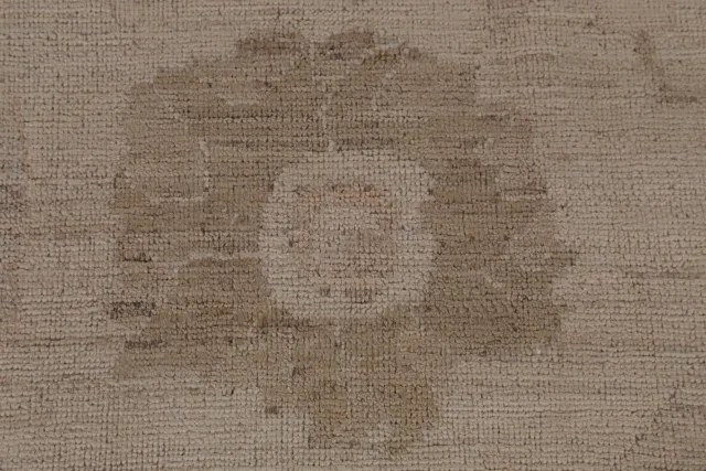 https://image-static-obj.rugsource.com/small/141027_2773147_bce1278c.jpeg