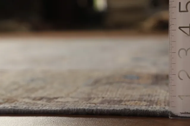 https://image-static-obj.rugsource.com/small/141330_2782776_2f342f33.jpeg