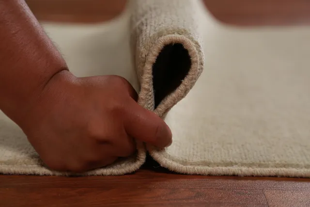 https://image-static-obj.rugsource.com/small/141779_2793761_b6d5c300.jpeg