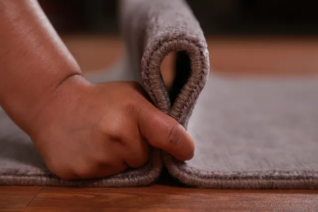 https://image-static-obj.rugsource.com/small/141783_2793817_d828e342.jpeg