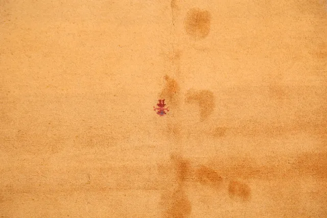 https://image-static-obj.rugsource.com/small/14250_285682_d7b62f1c.jpeg