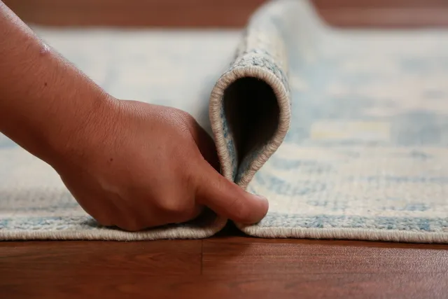 https://image-static-obj.rugsource.com/small/143203_2822062_3c8e8d99.jpeg