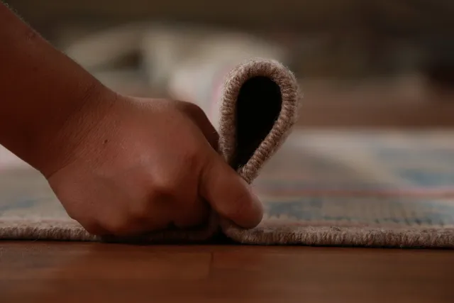 https://image-static-obj.rugsource.com/small/143246_2817878_9239b791.jpeg