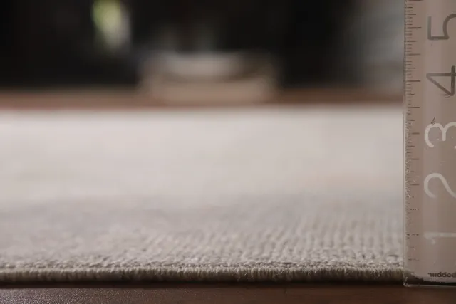 https://image-static-obj.rugsource.com/small/143363_2816279_e8269ed6.jpeg