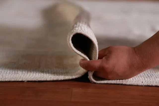 https://image-static-obj.rugsource.com/small/143419_2818945_5df45966.jpeg