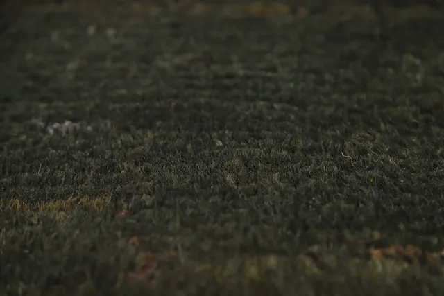 https://image-static-obj.rugsource.com/small/144954_2842660_7f51a35a.jpeg