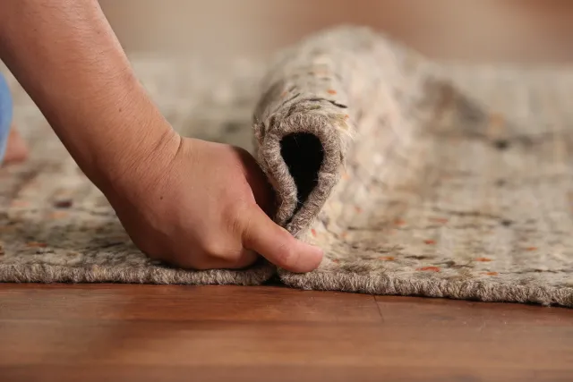https://image-static-obj.rugsource.com/small/145335_2864361_e992c086.jpeg
