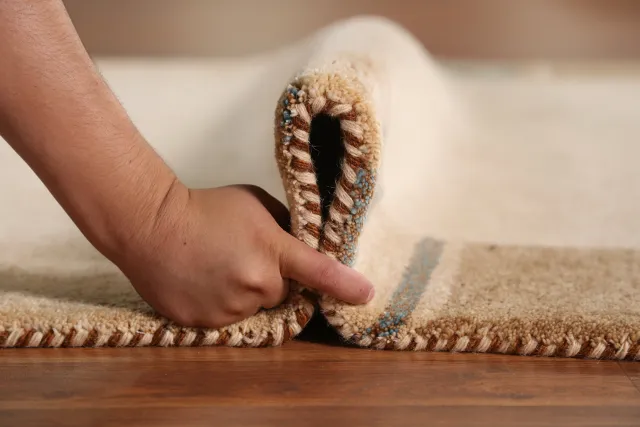https://image-static-obj.rugsource.com/small/145889_2863395_62c9553d.jpeg