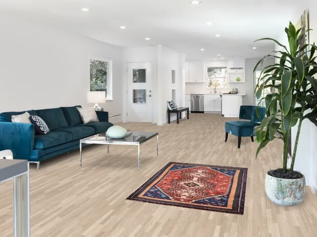 https://image-static-obj.rugsource.com/small/147127_2896035_d89facdc.jpeg