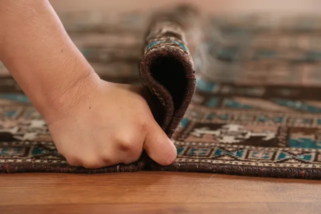https://image-static-obj.rugsource.com/small/147162_2894423_2693d412.jpeg