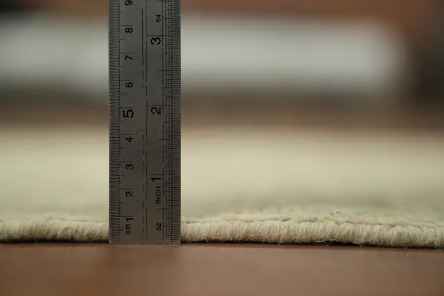 https://image-static-obj.rugsource.com/small/147389_3257098_64394365.jpeg