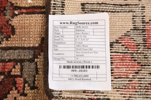 https://image-static-obj.rugsource.com/small/147767_2904451_0ae9ae02.jpeg