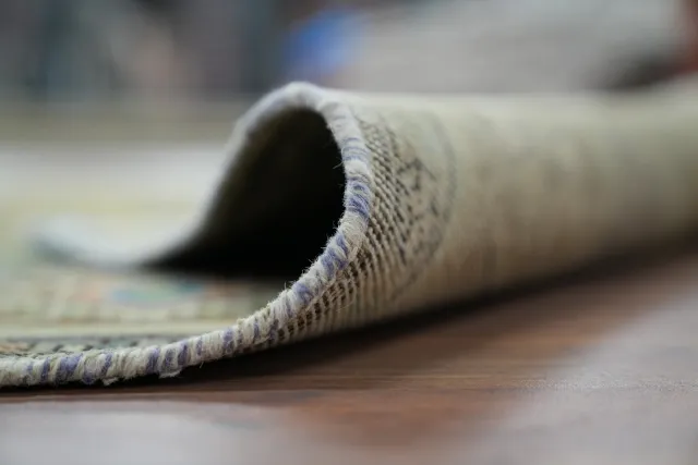 https://image-static-obj.rugsource.com/small/149806_2946954_896d9e5a.jpeg