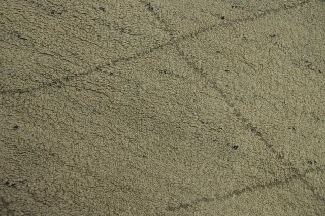 https://image-static-obj.rugsource.com/small/150644_2972849_1b6a6c0e.jpeg