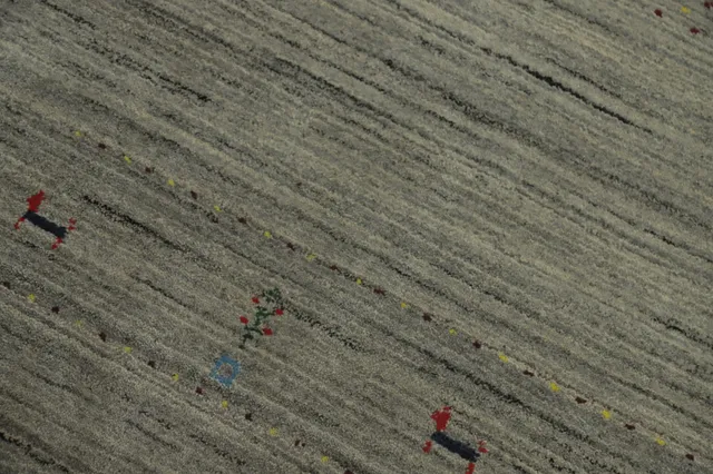 https://image-static-obj.rugsource.com/small/150882_2976751_d6bcbfc0.jpeg