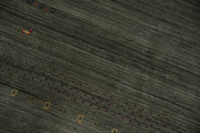 https://image-static-obj.rugsource.com/small/150949_3135138_ccfbb7bf.jpeg