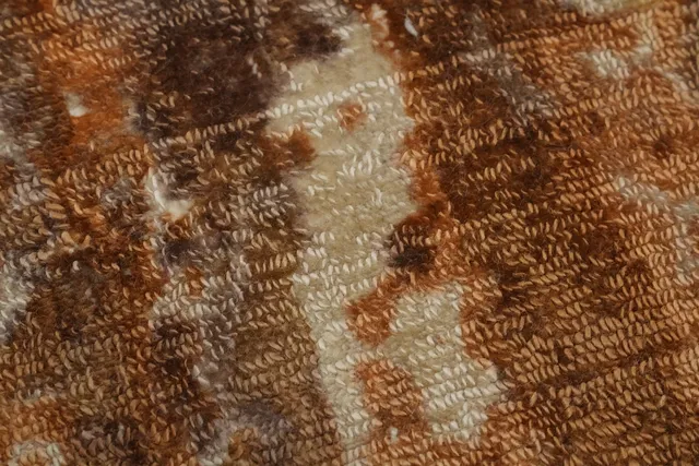 https://image-static-obj.rugsource.com/small/153360_3014096_b0cf92c4.jpeg
