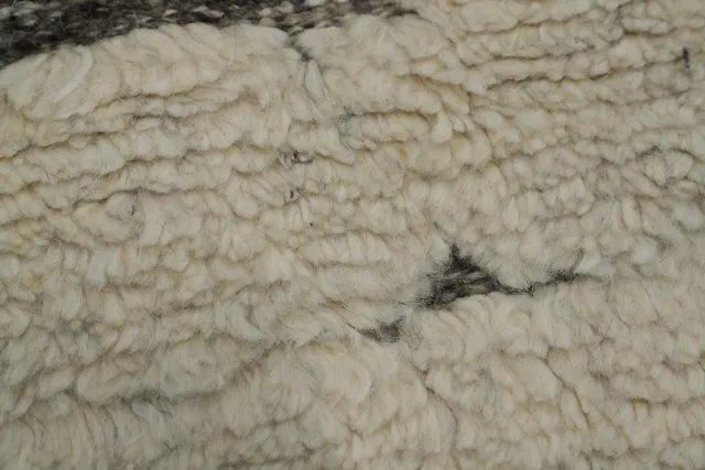 https://image-static-obj.rugsource.com/small/153453_3015527_a6c253c9.jpeg