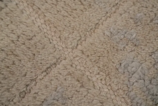 https://image-static-obj.rugsource.com/small/153513_3014864_39269ad6.jpeg