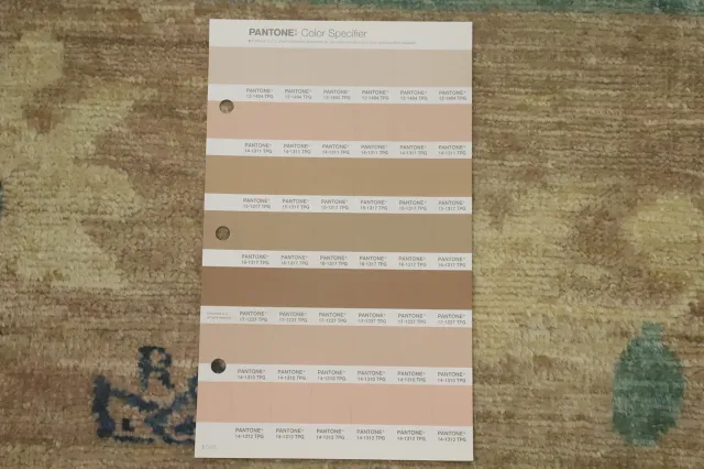 https://image-static-obj.rugsource.com/small/154116_3021447_b9381e61.jpeg