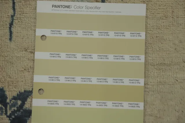 https://image-static-obj.rugsource.com/small/154152_3022816_94772242.jpeg