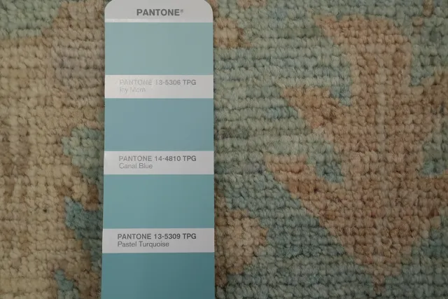 https://image-static-obj.rugsource.com/small/154411_3025946_8e59649f.jpeg